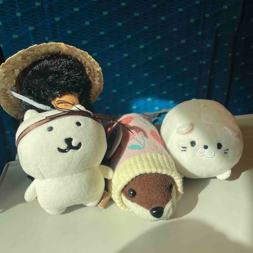 きょうはみんなで旅行だよ
おべんとうもたべたね