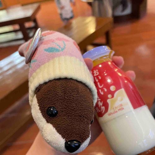 おんせんで飲んだぎゅーにゅー
ごんちゃんにちょっとにてる？