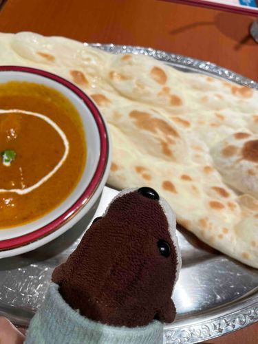しゅじんといっしょに、なんを食べたね
ボクよりも大きかったけど全部食べてやったね