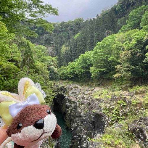 ごんちゃん旅行記
だいしぜんをまんきつ！