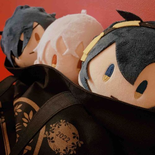 こんばんは！