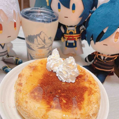 あるじが ほっとけーきを ふらいぱんで まぜて そのまま やいて たいへんなことに なったよ！
これからは あるじ が きっちんに たったら みはることにするね！

みため は おいしそうだね…