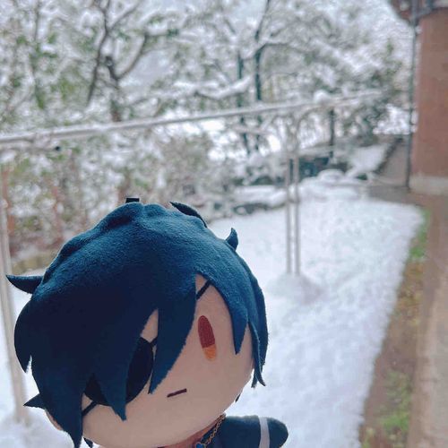 ゆきだよ❄️
ぼくばっかり撮ってもゆきはみえないよ！やりなおし！