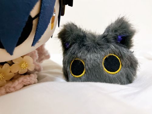 ふわふわくん と おともだち になったよ！
これからよろしくね！