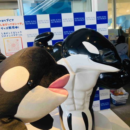 シャチクジ2等当たった🫍✨でっかくて可愛い〜