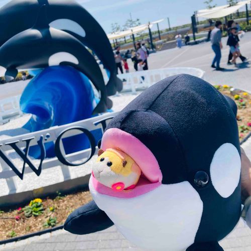 ぱくっ
