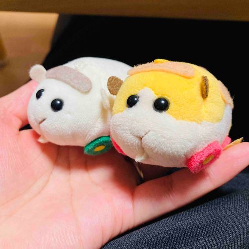 改めて見てモルカーって可愛すぎませんか。完璧なフォルム。うちのシロモはちょっとほっぺた大きめです。