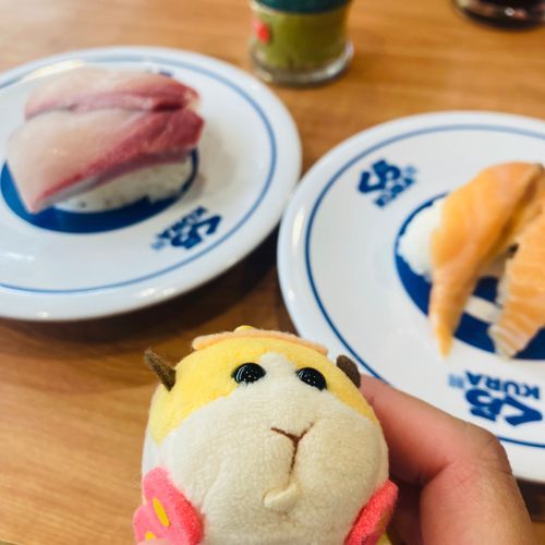 きらきらおすし🍣お口にゅっなってる...