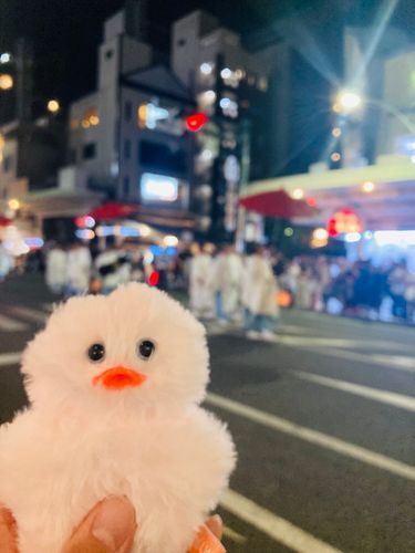 そういえばこの間、祇園祭のなんか歩くやつ見れた（無知）
