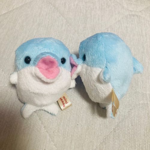 ﾝﾁｭ