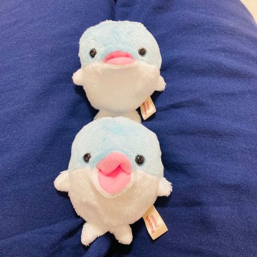 アカウントわけてみました