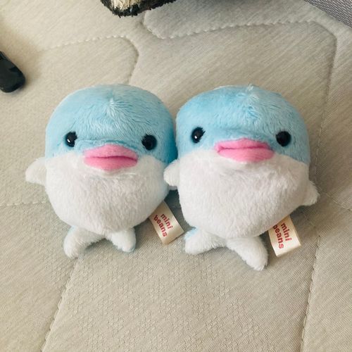 左、たかやまさん。お口が大きくて唇が分厚くて尾鰭の右側が短いのが特徴。右、こばやしさん。お口が歪んでて、尾鰭が大きくておててが小さいのが特徴。