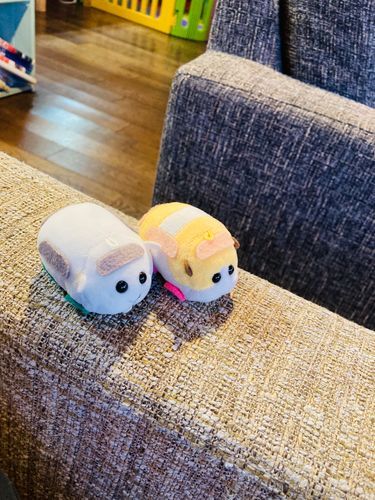 ふかふかソファで待つ