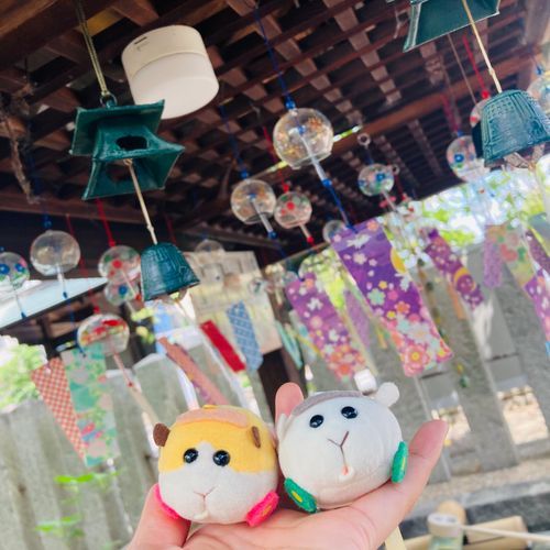 まだまだ夏を感じるね