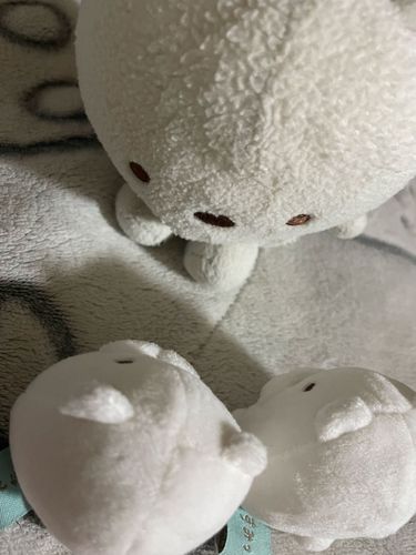 くま先生のありがたいお話だよ！
