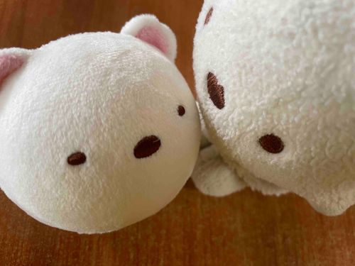 誕生日プレゼント気に入ってくれるかな？