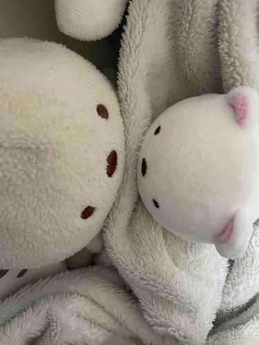 寝るときはいっしょ🐻‍❄️