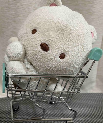 おかいものカートも　乗りこなす🛒