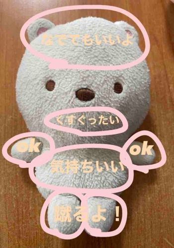 くまのおさわりマップ！