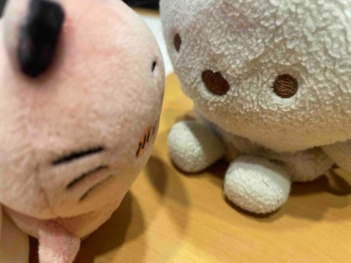 あなたはだぁれ？
