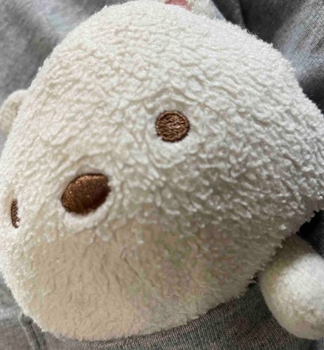 ポッケの中が僕の定位置✨