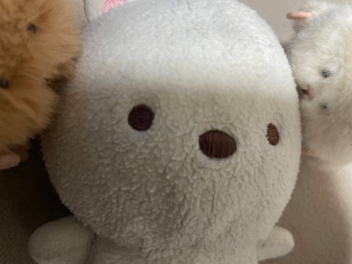 ぼくのおうちにはハムがふたりいて、ふたりともぼくをよくかじります