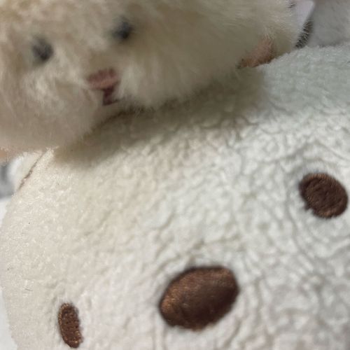 よくかじられるけど、ハムとはおともだちだよ