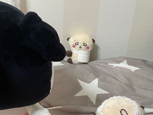 2人とも、新入りだよ