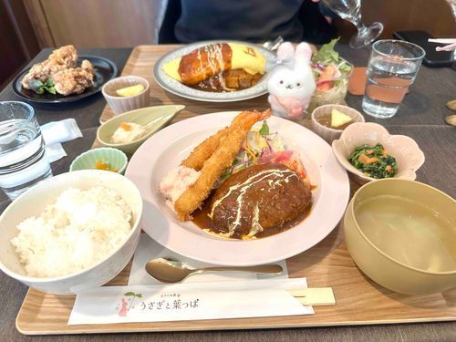 こっちは先週の葉っぱさん。
エビフライとハンバーグ定食！
ご飯が大中小選べるのがいいけど、これはめっちゃお腹パンパンになる。