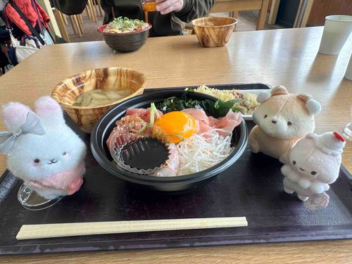 昨日は久々に淡路島へドライブに行ってきた。
まぐろと海老のどんぶり美味しかった！
たこ天もぷりぷりで美味しかった！