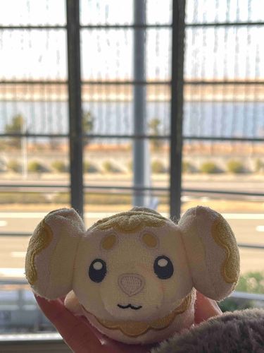 ここは、どこなんでしょう？？