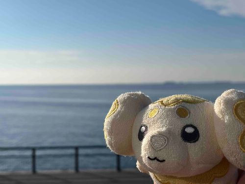 さくらもっちさん、(ほぼ)初めての海！