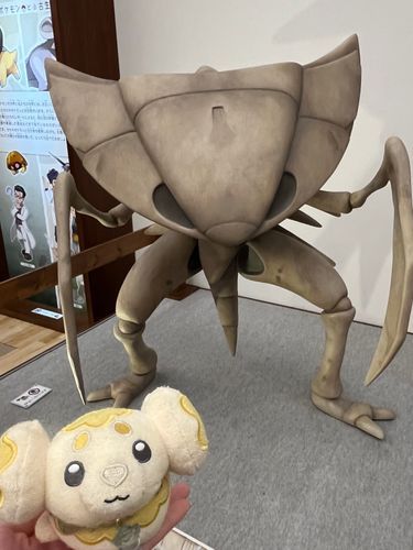 初共演で緊張