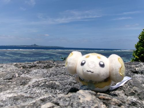 海は、広い！