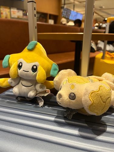 旅行に行ってきたｼﾞﾗとﾓﾁ