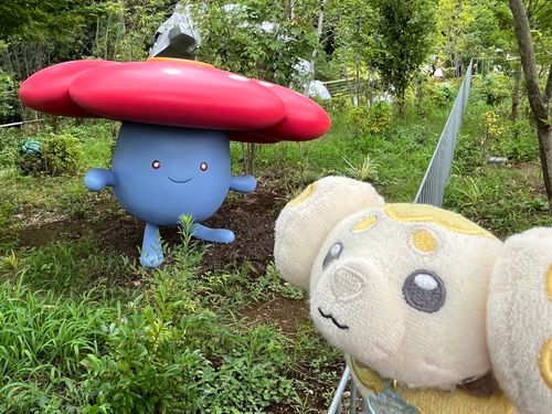 ラフレシアさん(とハガネールさんの後ろ姿)
ラフレシアさんがずっとなんか喋ってくれてたけど、トレーナーはきょとんとしてた