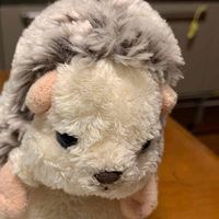ちぇんちぇ