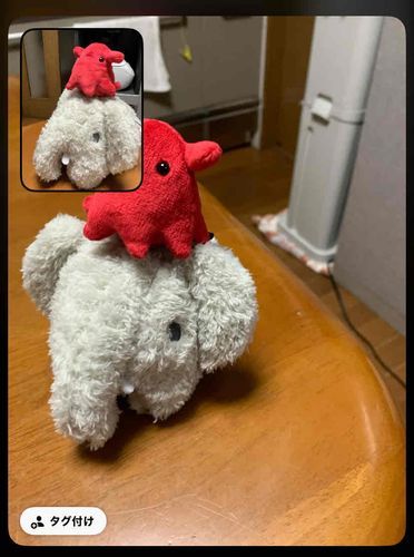 なかよしBeReal