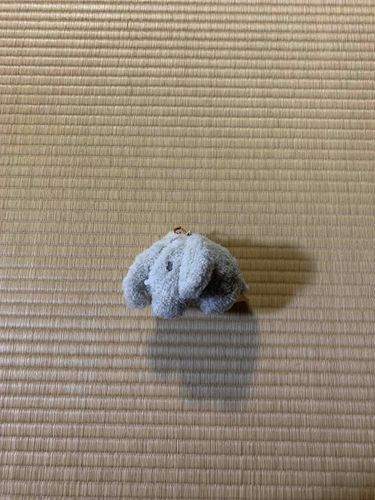 命名:ぱおぱおたん
