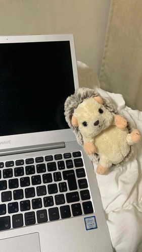 なんでこんな時間まで起きてるのだ
はやく寝るのだ