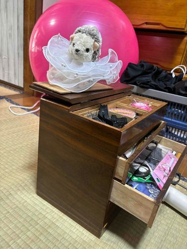 ふわふわ〜
