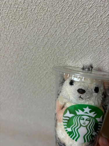 ｼｭﾎﾟｯ