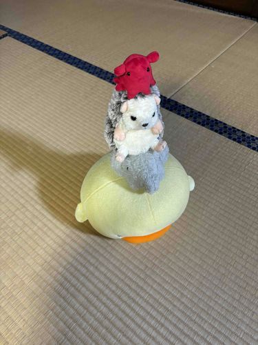 ブレーメン！