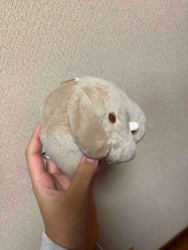 あらたな仲間❣️