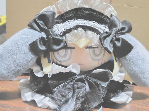 おいコチ、これはどういう事だ。
同居人の異星人のようなものが着ていた洋服などトイトイは着たくもないぞ。
おまけに動きづらい。後ろが余っているし手が少ししか出ない。
なんだこの服は。
なに？似合っている…？………まあ…ロリィタドレスが似合うからゴスロリも似合うであろう…うむ…本当か…？