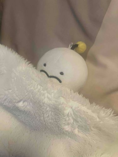 ぷりの夜はこれから