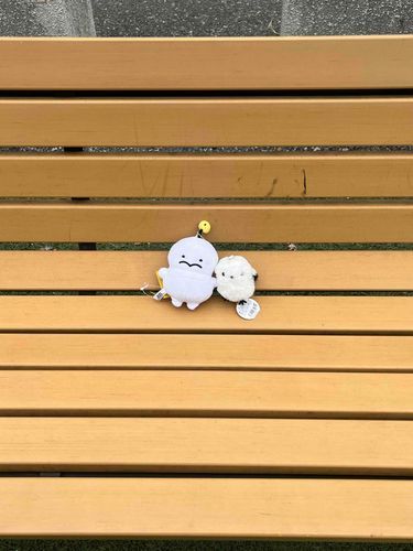 ぷりも友達がいまちゅ
みんな、今日1日どうでちたか？