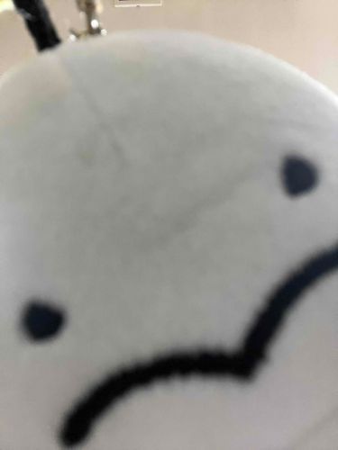 自撮りちてみまちた