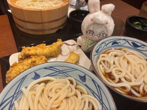安くなる日だったのでうどんを食べに行きました。飼い主さんが安いならという理由で大を頼んでお腹いっぱいになっていました。