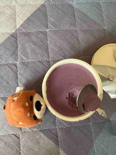 いただきものの ブルーベリーアイス
あんまり ブルーベリーのあじしなくて
ミルクあじより だったけど まんぞく